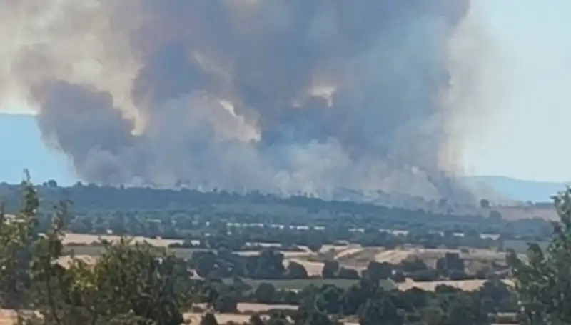 Komşudaki Orman Yangını, Edirne'yi Neden Dumana Boğdu?