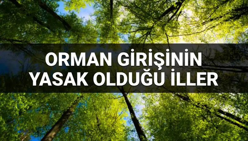 Türkiye'de 2025 Yılında Ormana Girişi Yasaklanan İller Listesi Açıklandı