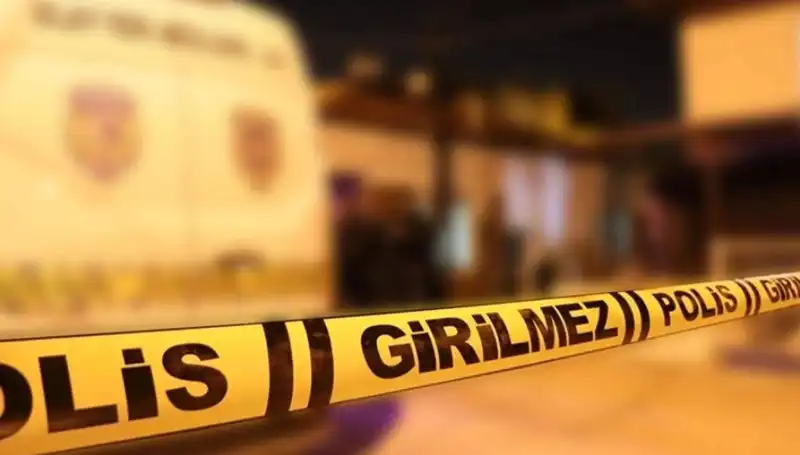 Diyarbakır'da Kayınpederin Kanlı İntikamı: Gerçekler Ortaya Çıkıyor