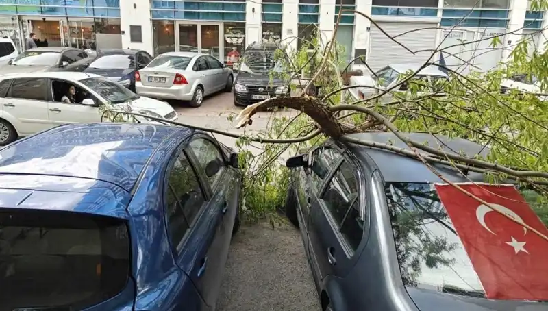 Kayseri'de Dalları Kıran Fırtına: Şehirde Hayat Durma Noktasına Geldi
