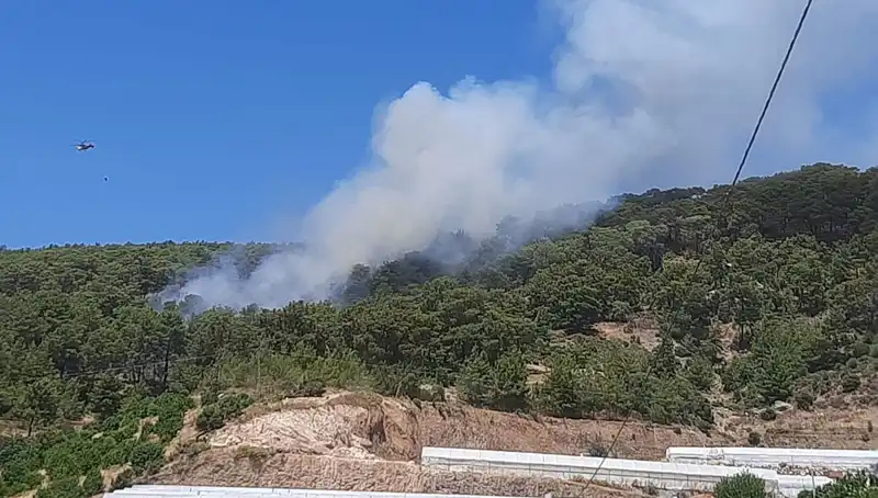 Kumluca'da Dumanlar Arasında Kalan Doğa: Orman Yangını Alev Alev Yükseliyor!