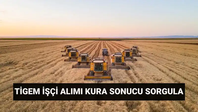 TİGEM Kura Sonuçları Açıklandı: 306 İşçi Alımında Süreç Nasıl İlerliyor?