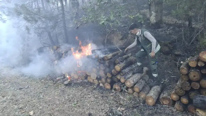 Bursa'da Sıcak Hava Dalgası Tarımda Krize Neden Oluyor
