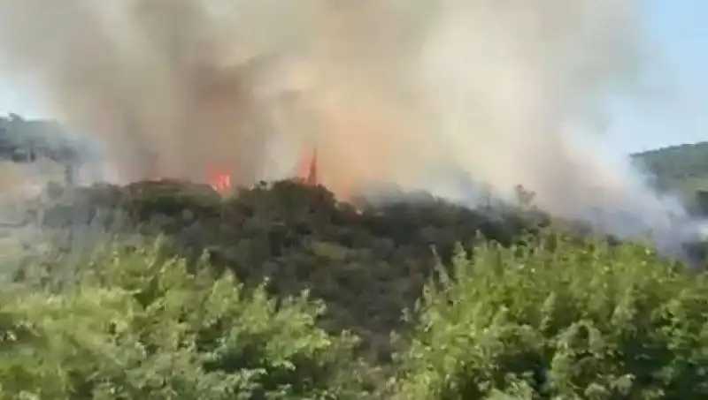 İstanbul’da Ani Orman Yangını: Vatandaşlar Acil Olarak Tahliye Edildi