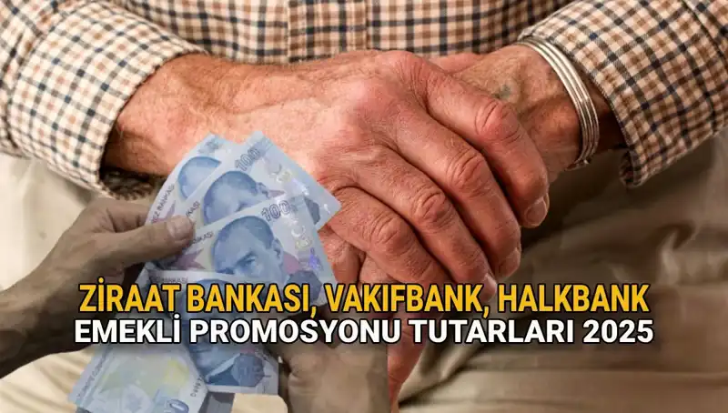 Emeklilere Özel: 2025'te Kamu Bankalarından Hangi Promosyonlar Bekleniyor?