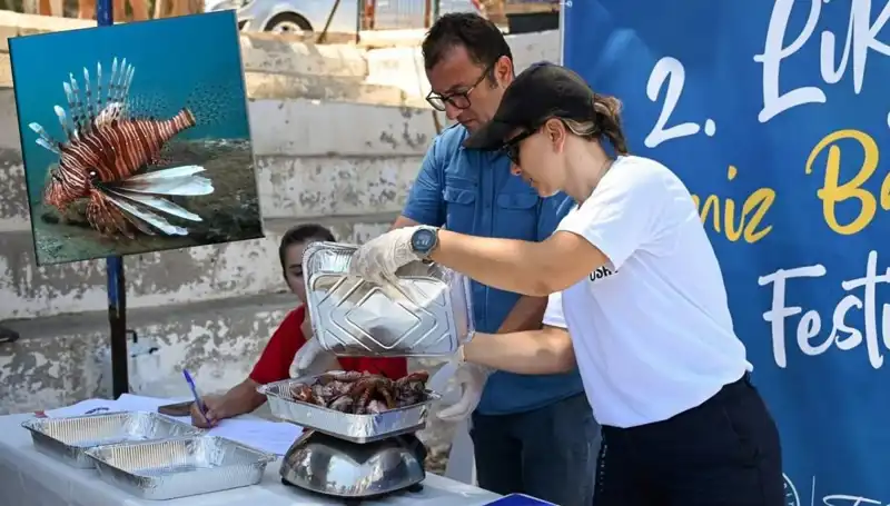 Antalya'da İstilacı Aslan Balığı Avlama Yarışması: Karada Düşler, Denizlerde Mücadele