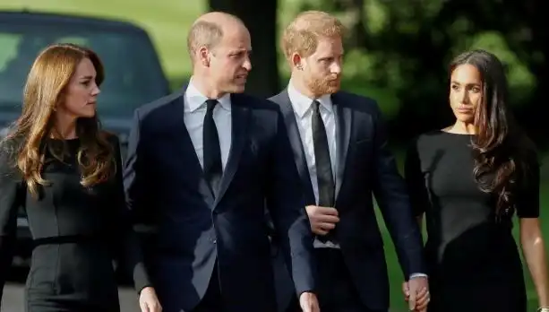 Prens William ve Prens Harry: Kardeşlikteki Derin Taksiratların Ardındaki Gerçekler