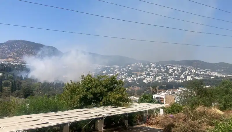 Muğla Orman Yangınları Kontrol Altına Alındı: Neler Yaşandı?