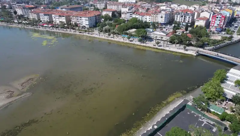 Marmara Denizi'nde Şaşırtıcı Görüntüler: Risk Alarmı!