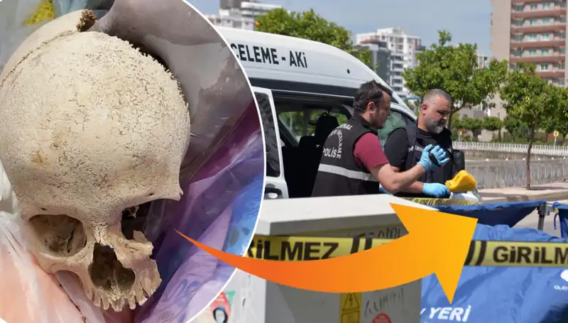 Sitenin Çöpünden Kafatası Çıktı, Doktor Gözaltına Alındı!