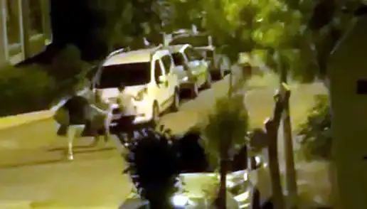 Avcılar'da Cadde Ortasında Saldırı: Kurtarıcılar Vatandaşı Hayata Döndürdü