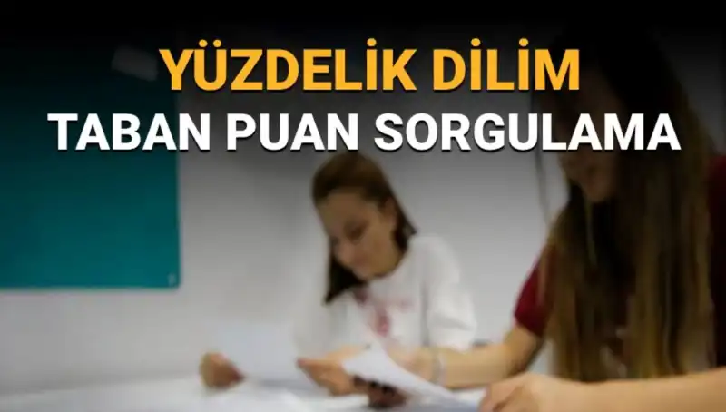2025 LGS Taban Puanları ve Yüzdelik Dilim Sorgulama İpuçları