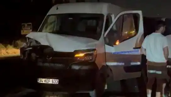 İstanbul’da Manda Kazası: Üç Yaralı, Olay Gündem Oldu