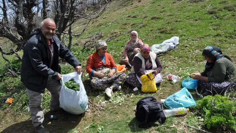 Doğa Yürüyüşü ile 250 Lira Kazanmak: Yüzlerce Ailenin Geçim Kaynağı