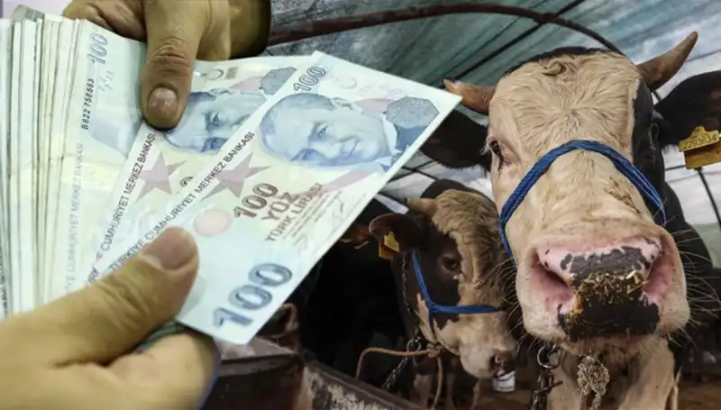 Bayram Öncesi Maaşlar Ne Zaman Yatacak? Emeklilere Müjde Geldi!