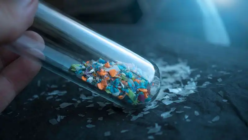 Mikroplastikler Beynimize Ulaştı: Sağlığımız İçin Ne Anlama Geliyor?