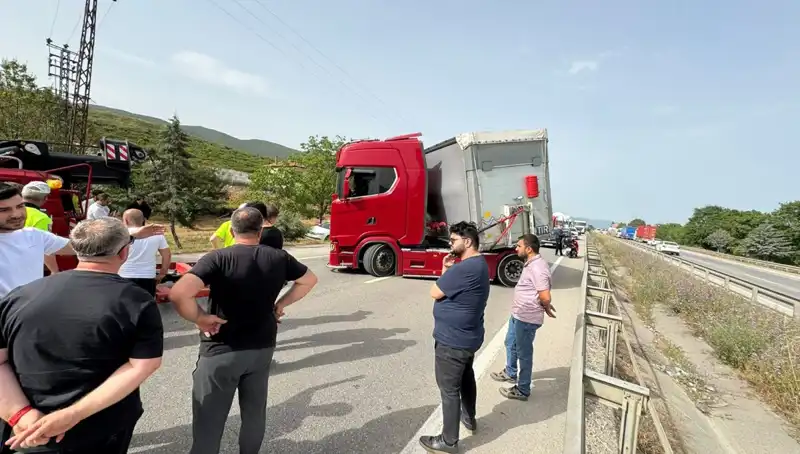 Seyir Halindeyken Arı Soktu: Trafik Kilitlendi, Şaşkın Sürücü Ne Yaptı?
