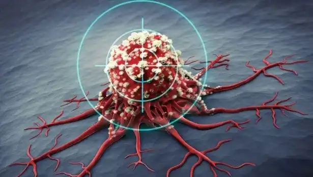 Prostat Kanserine Karşı Etkili 6 Besin: Bilimsel Araştırmalar Açıkladı