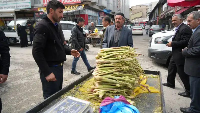 Dağlık Alanlarda Toplanan Şekerin Sağlık Yararları ve Gizemi