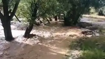 Mersin'de Yağış Alarmı! Sağanak Sel Felaketine Dönüştü