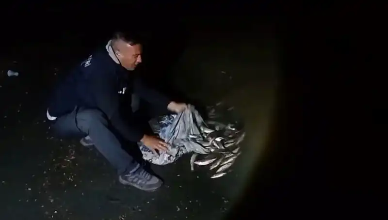 Türkiye'nin Gölünde Tarihi Av: Bir Ton İnci Kefali Yakalandı!