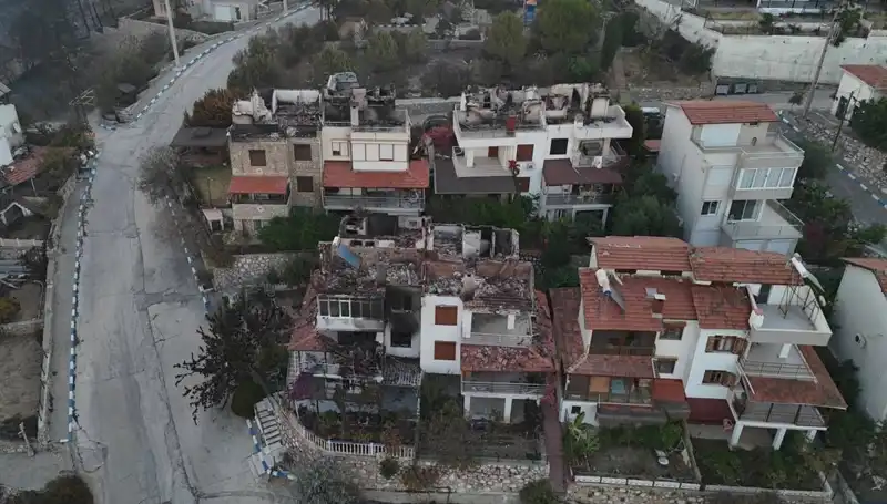 Orman Yangınlarının Sonunda Yıkım: Etkileri ve Gelecek İçin Neler Bekleniyor?