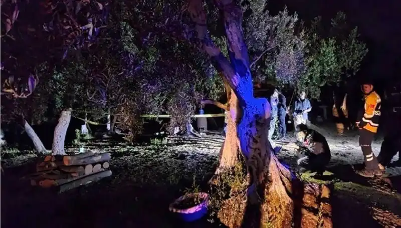 Çiftlikteki Baltalı Vahşet: Sır Perdesi Aralanıyor, Bir Tutuklama Gerçekleşti