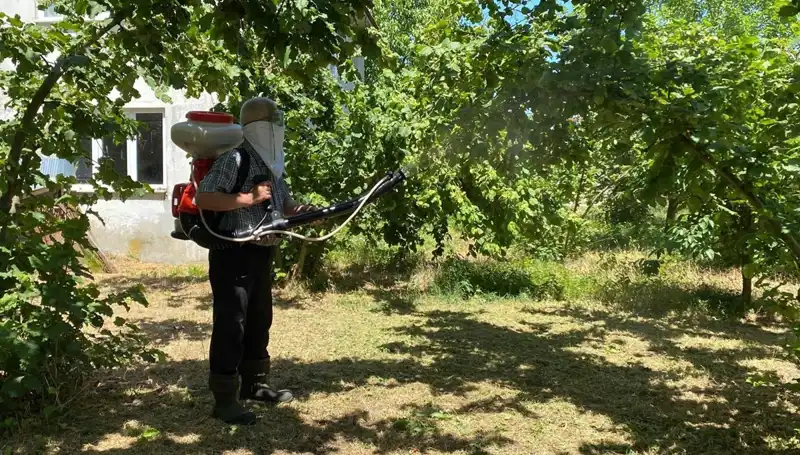 Çiftçilerin Geleceği Kükürt ve Samuray Arısıyla Yeniden Şekilleniyor
