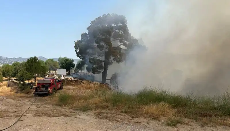 Muğla'da Yangın Kabusu: Doğa Alev Alev Yandı, Canlılar Tehlikede