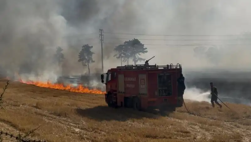 Kırklareli'nde Korkutan Anız Yangını: Doğa ve Canlılar Tehlikede