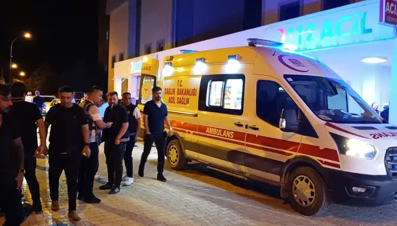 Kardeşini Koruma Çabası Canıyla Hızla Sonuçlandı: Olayın Detayları!