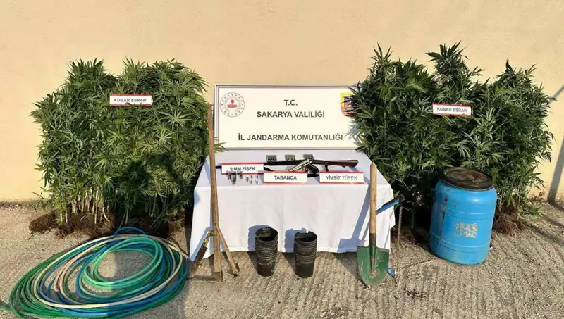 Sakarya'da Tarihi Uyuşturucu Operasyonu: 1 Kişi Tutuklandı