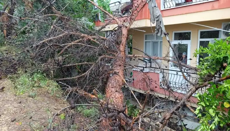 Şiddetli Yağışlar: Bina Üzerine Devrildi, Şok Edici Sonuçlar!
