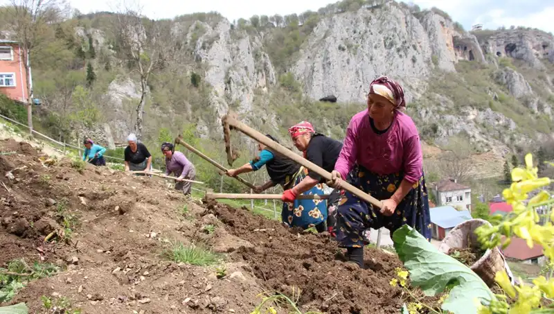 Zorlu Mesai Başladı: İşçiler Sırtlarında Sepetlerle, Ellerinde Kazmalarla Çalışıyor