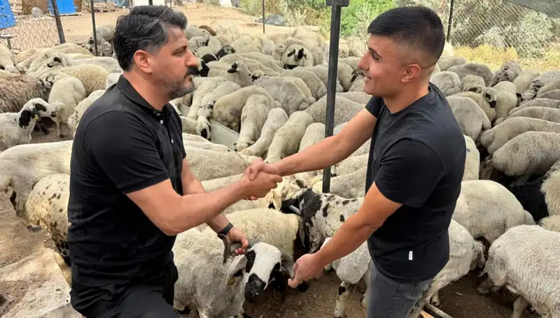 Kurbanlık Koyun Alırken Tuz ve Sumak Hilelerine Dikkat!