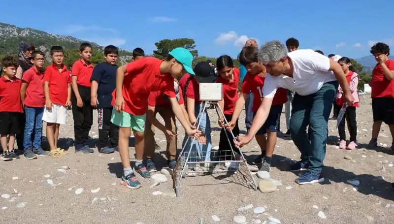 Kemer'de Caretta Caretta Koruma Yasakları Hayata Geçti!