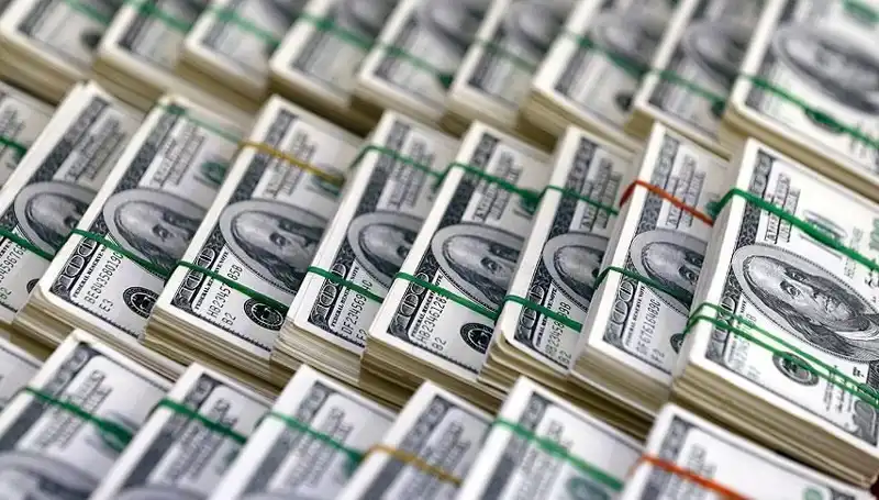 Doların Hızla Yükselmesi Beklenirken Yatırımcıları Neler Bekliyor?