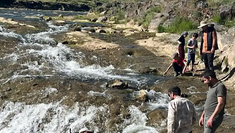 İnci Kefalinin Büyüleyici Göçü: Doğanın Mucizesi Huzurlarınıza Geliyor